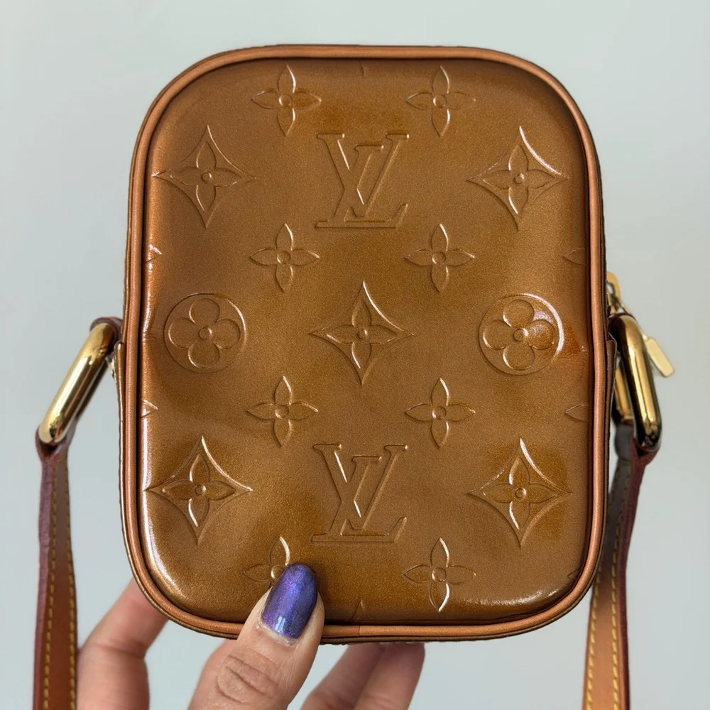 Louis Vuitton stylish brown